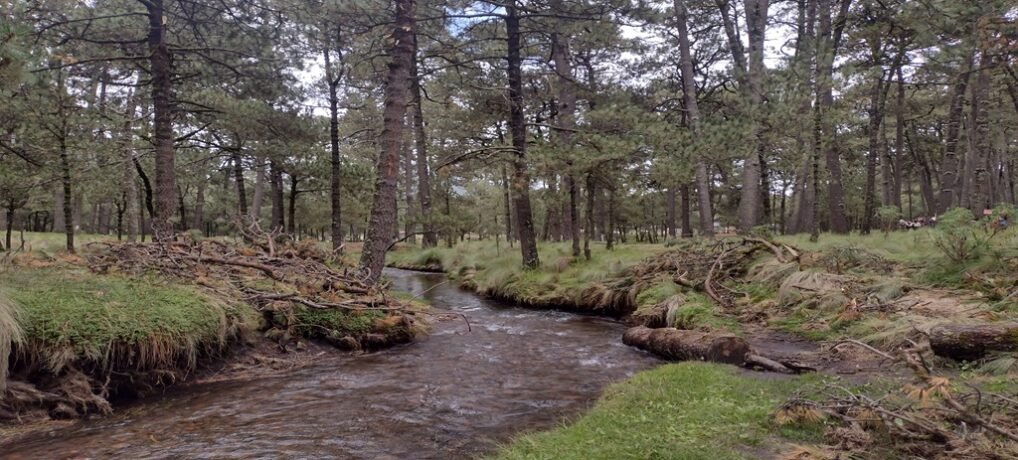 Cascada de Apatlaco: Una Joya Natural en el Parque Ecológico Apatlaco
