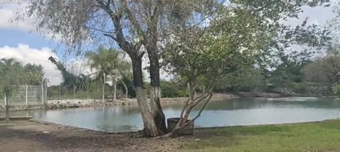Guía para el Balneario Los Rosales: Historia, Naturaleza y Economía en Nayarit