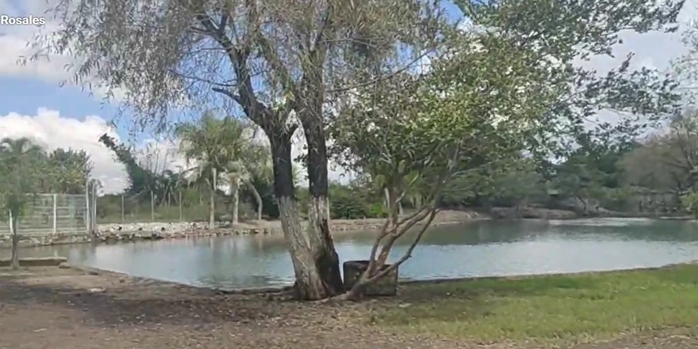 Guía para el Balneario Los Rosales: Historia, Naturaleza y Economía en Nayarit