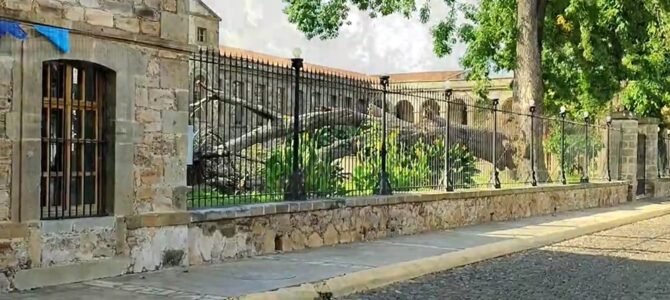 Bellavista Tepic Nayarit: Historia Viva de un Pueblo Obrero Convertido en Centro Cultural