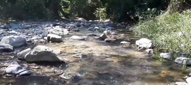 El Molote, Nayarit: El Balneario Termal Escondido de Aguas Volcánicas