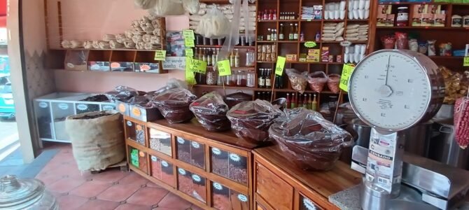 San Pedro Actopan: El Corazón del Mole Mexicano