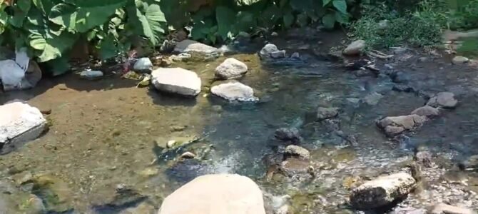 Balneario El Toro en Trigomil: Un Tesoro Oculto en Nayarit