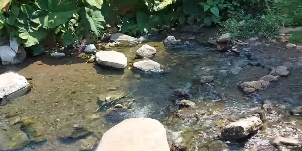 Balneario El Toro en Trigomil: Un Tesoro Oculto en Nayarit