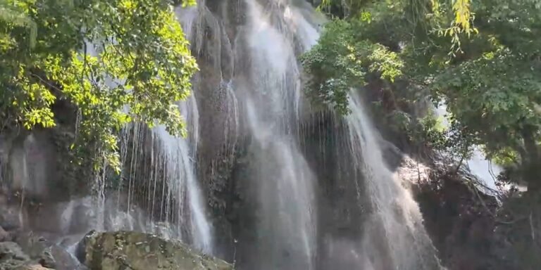 cascadas de micos ciudad valles