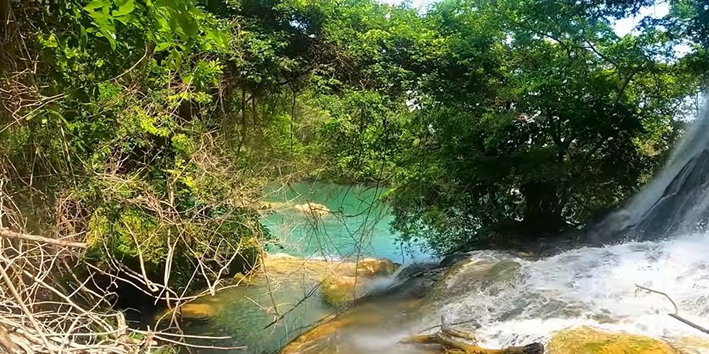 san luis potosi cascadas micos